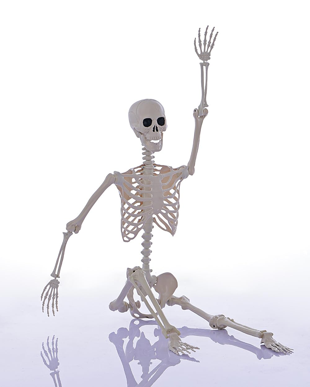 Life Size Posable Full Body Skeleton with Movable Joints K830513