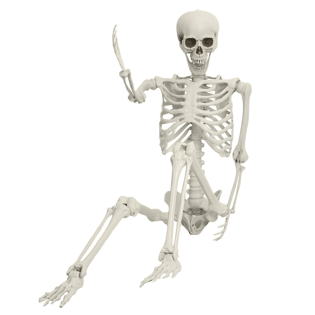 5.4FT 170cm Life Size Posable Skeleton with Movable Joints C600