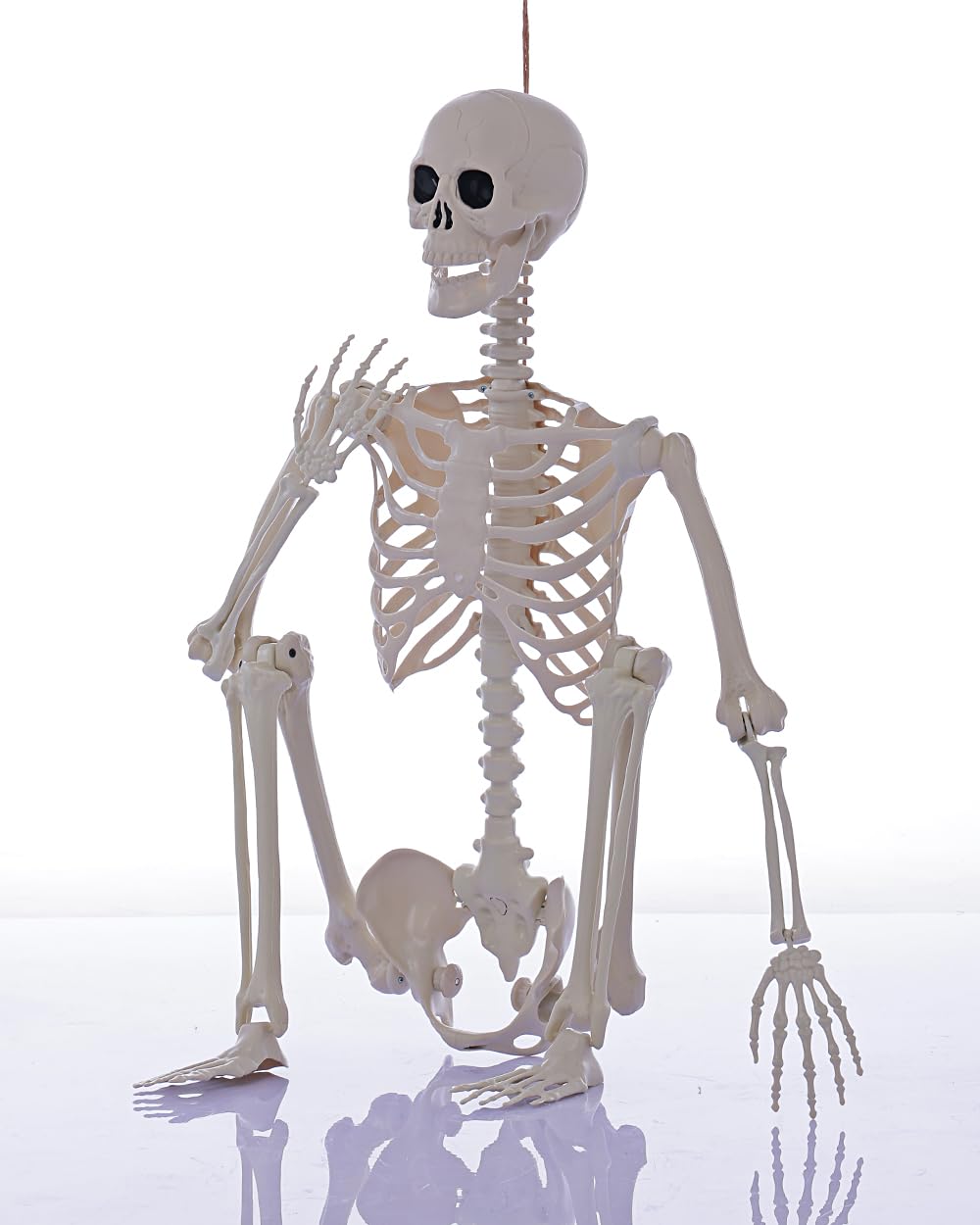 Life Size Posable Full Body Skeleton with Movable Joints K830513