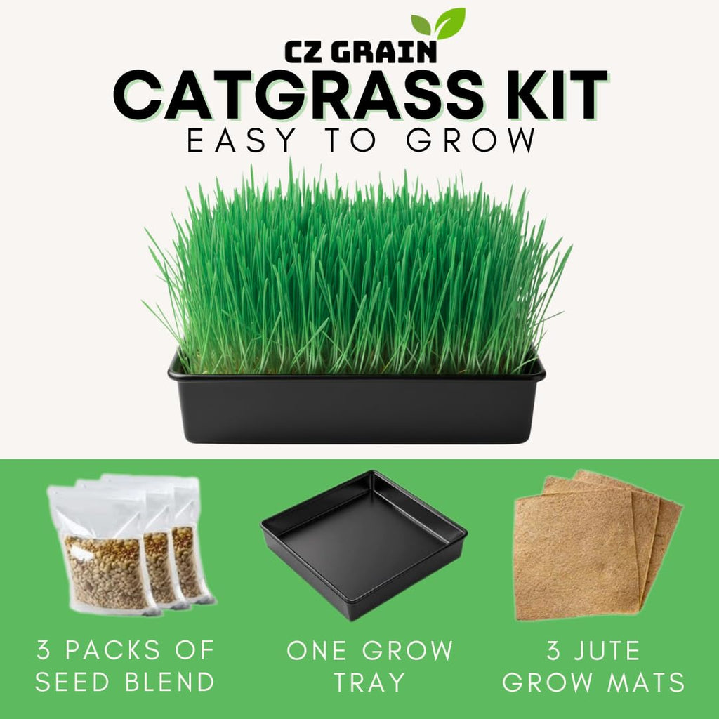 Cat Grass Growing Kit with Organic Seed and Jute Grow Mats P63410