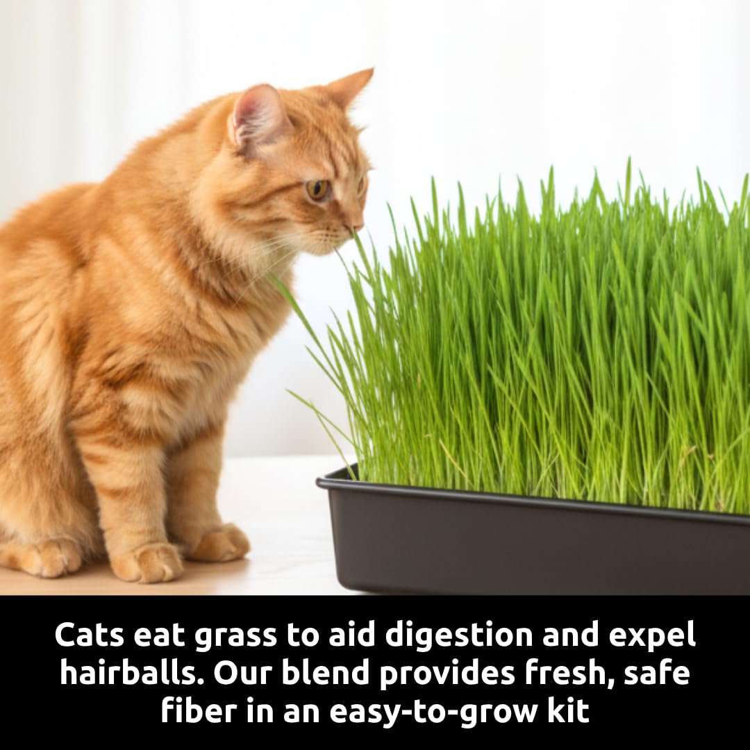 Cat Grass Growing Kit with Organic Seed and Jute Grow Mats P63410