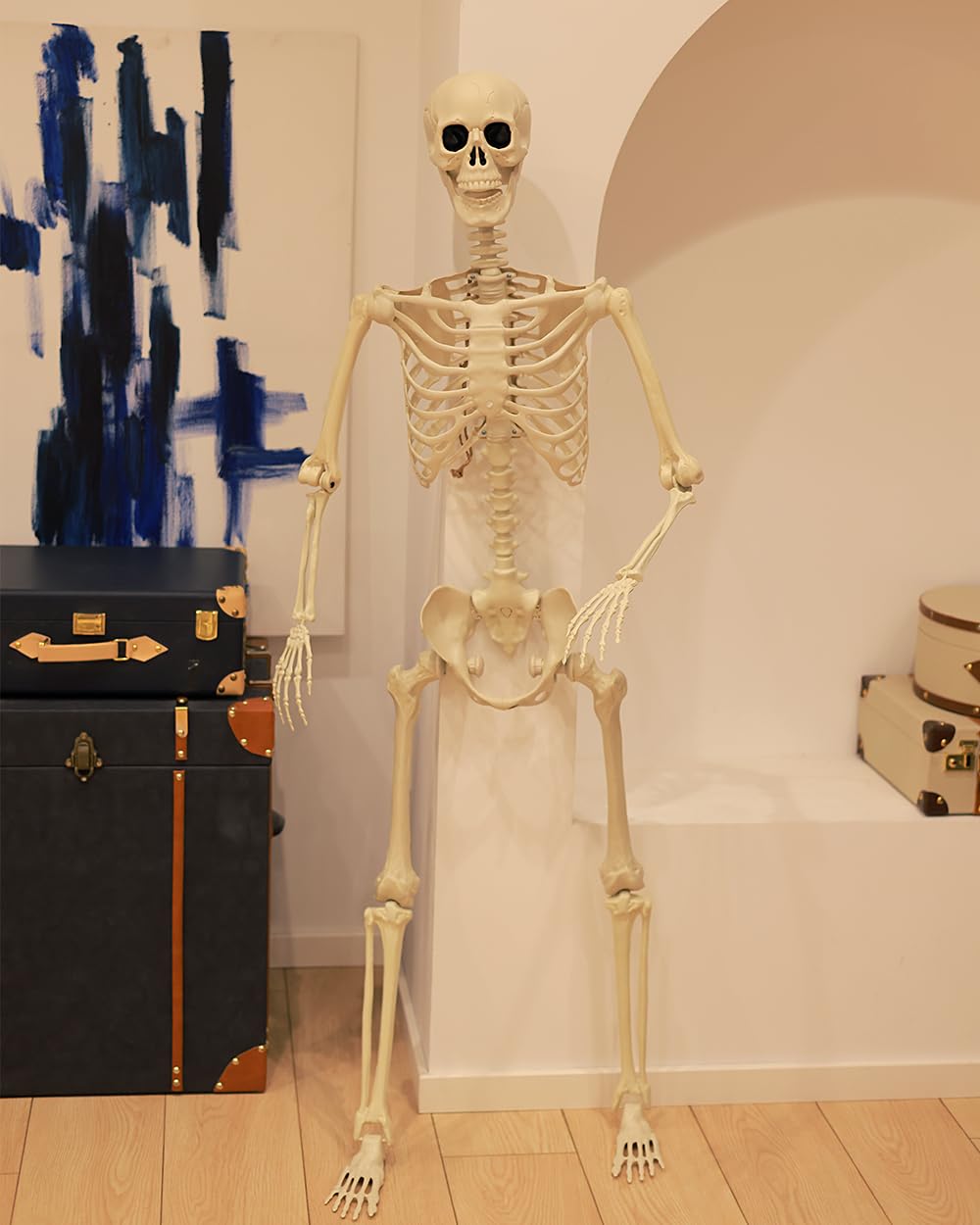 Life Size Posable Full Body Skeleton with Movable Joints K830513
