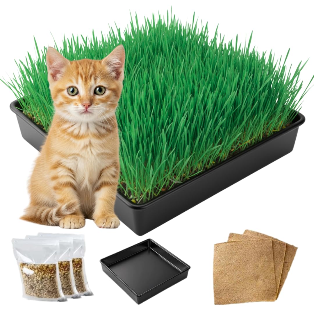 Cat Grass Growing Kit with Organic Seed and Jute Grow Mats P63410