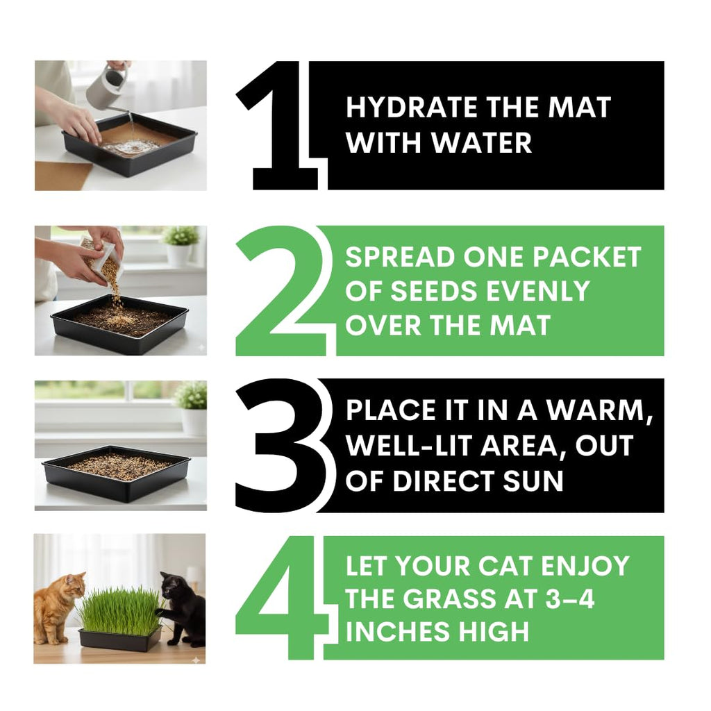 Cat Grass Growing Kit with Organic Seed and Jute Grow Mats P63410