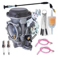 40mm Carburetor Repair Kit P62906