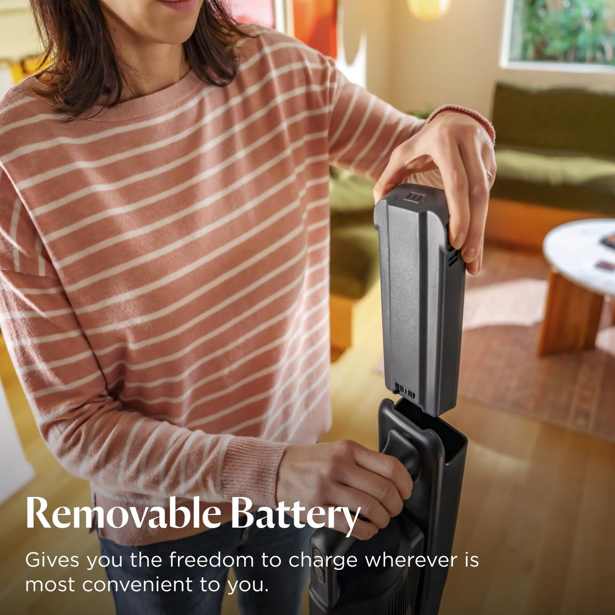 Cordless Vacuum E904