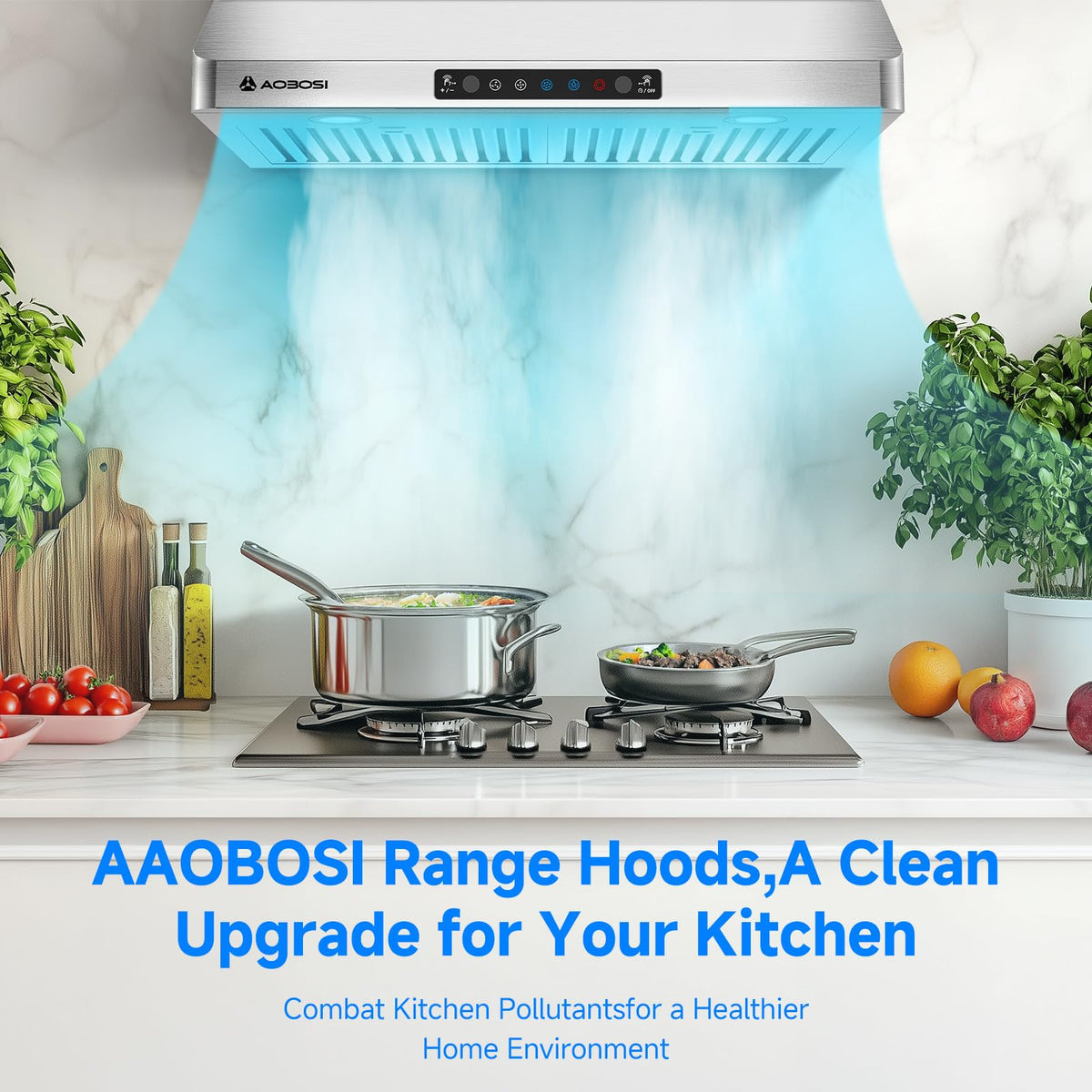 30 Inch Stainless Steel Under Cabinet Range Hood C926161