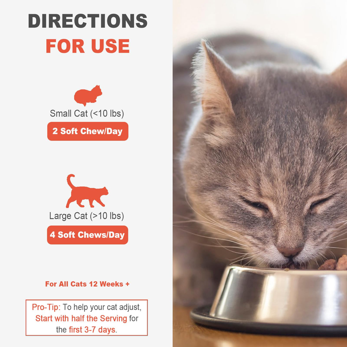 Hairball Control Soft Chews for Cats, Chicken Flavor, 100 Count Q4888