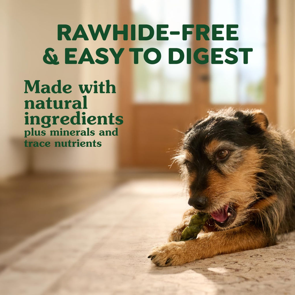 Chicken Flavor Dog Treats, 4 Count R357