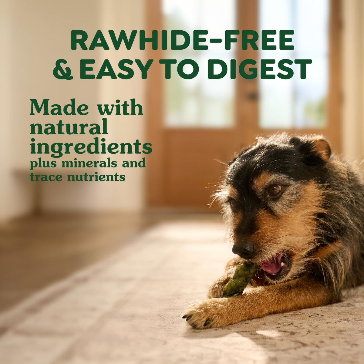 Chicken Flavor Dog Treats, 4 Count R357