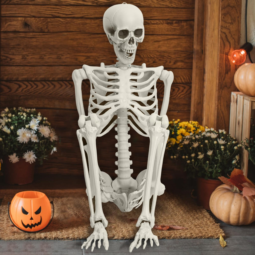 5.4FT 170cm Life Size Posable Skeleton with Movable Joints C600