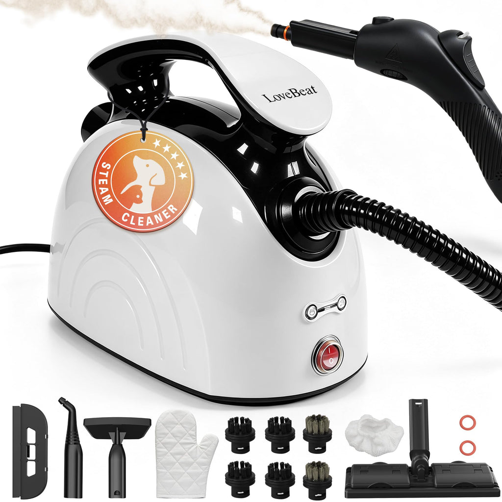 4.5 Bar 300°F Steam Cleaner L975