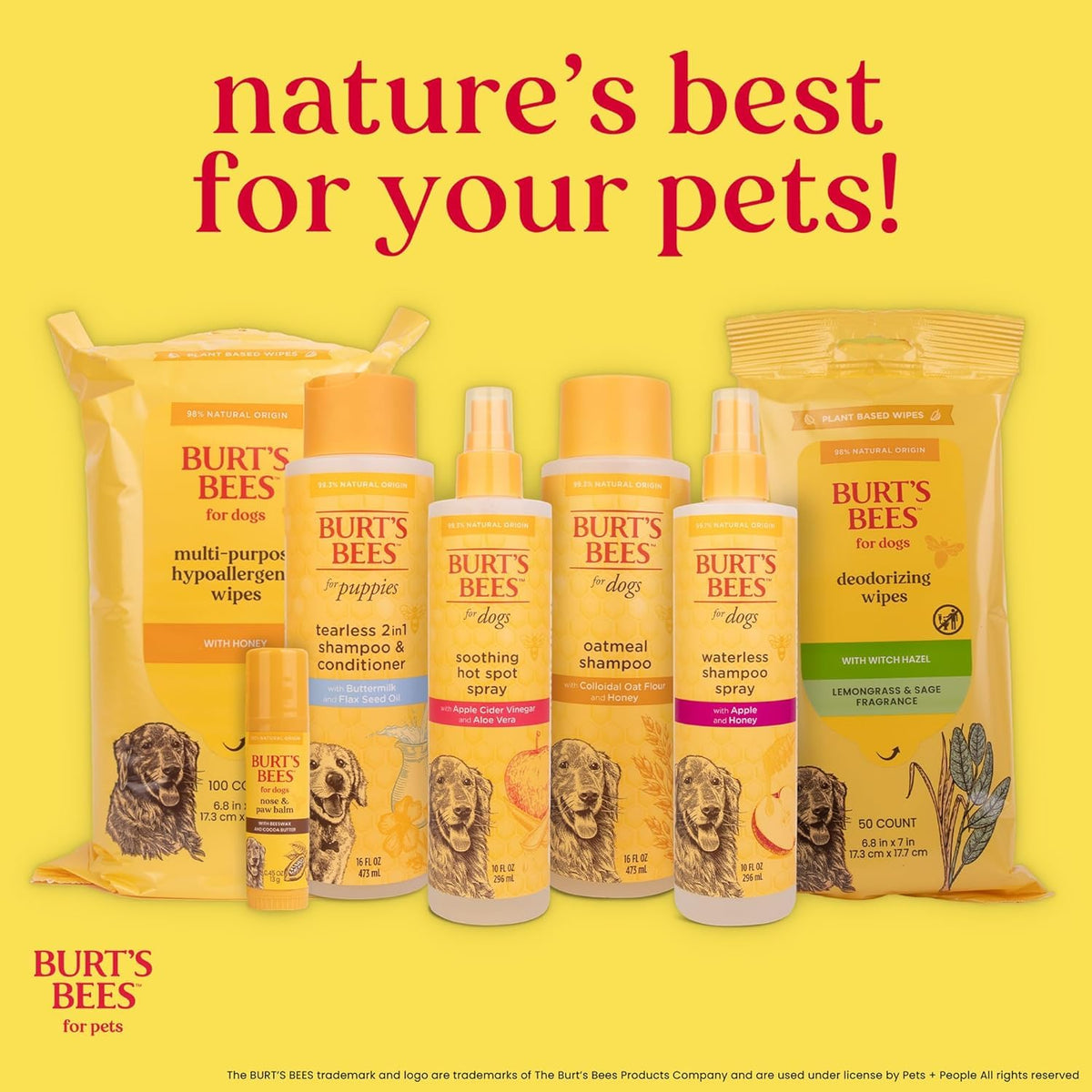 Dog Detangling Spray with Lemon & Linseed 10 Fl Oz V1006