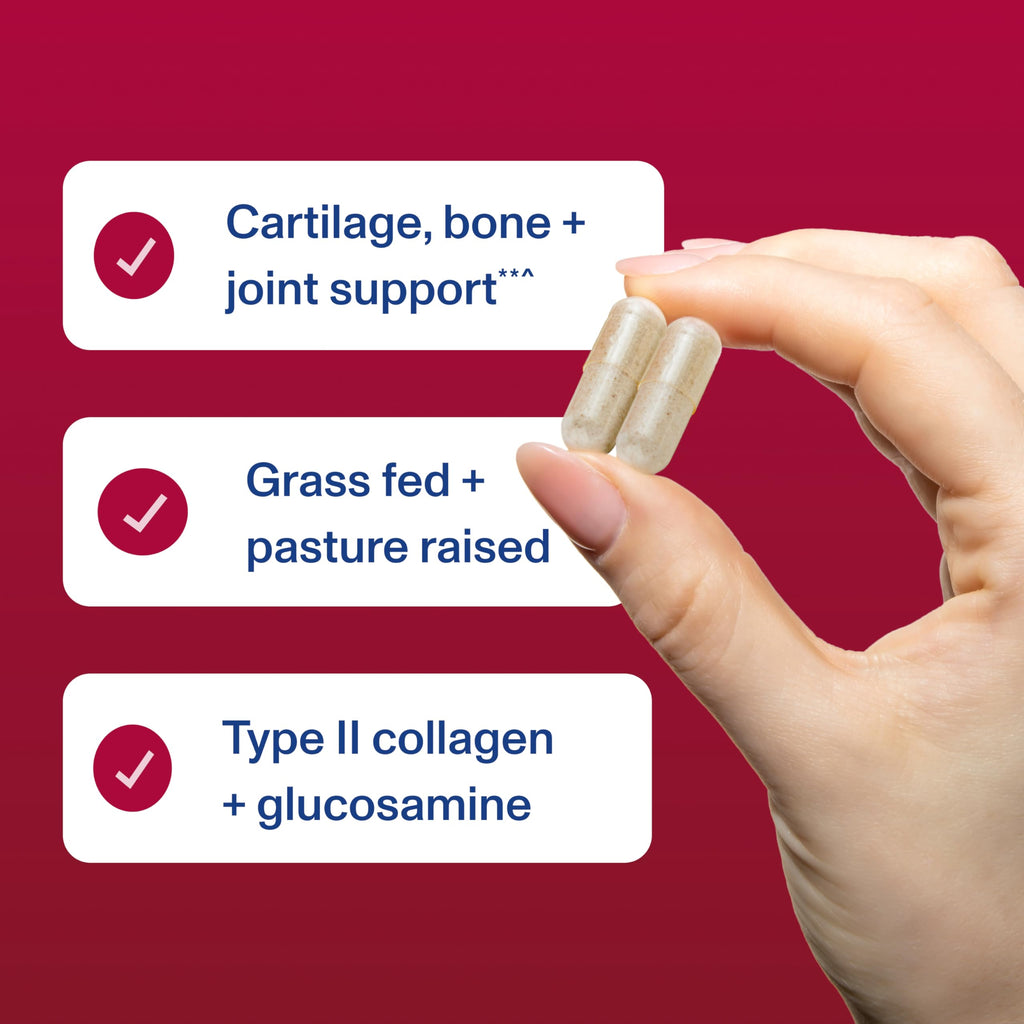 Cartilage Collagen Type II 120 Capsules X70794