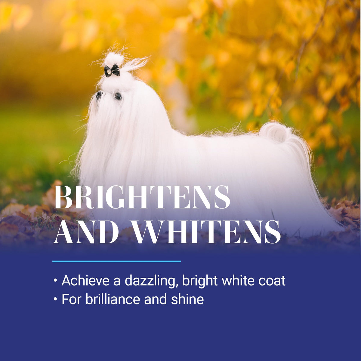 White Dog Shampoo 16OZ W369411