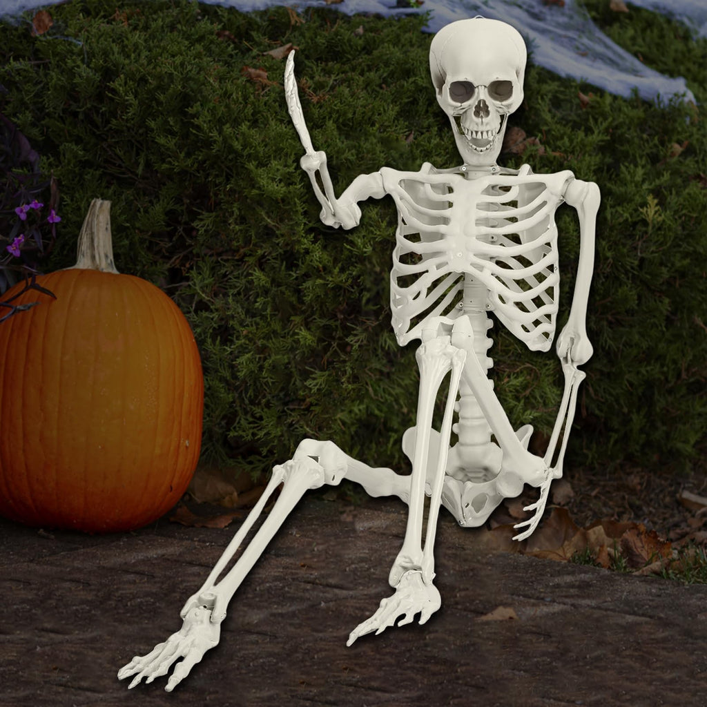 5.4FT 170cm Life Size Posable Skeleton with Movable Joints C600