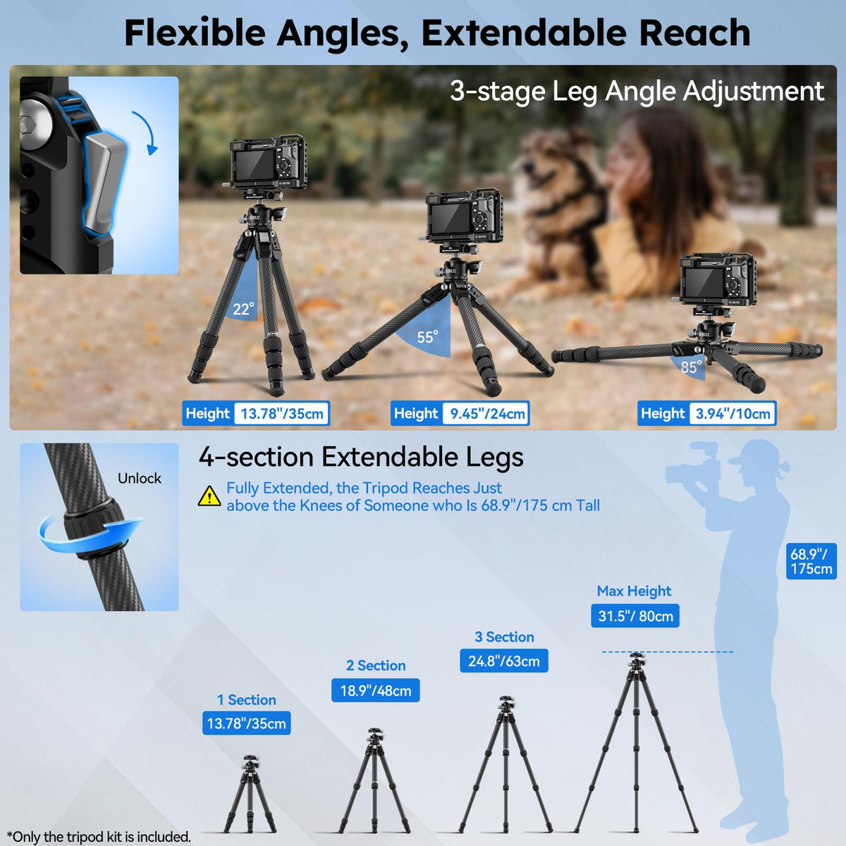 Carbon Fiber Mini Desktop Tripod with 360° Ball Head R9925