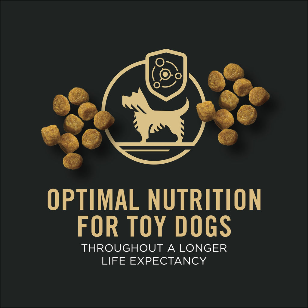 Chicken & Rice Dry Dog Food 5 lb Bag K31261