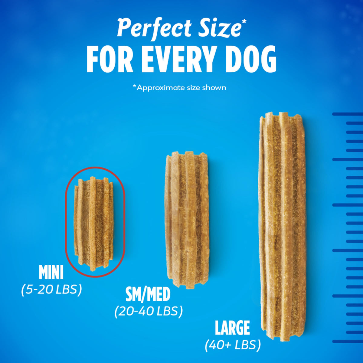 Daily Oral Care Dog Treats for Small Dogs, 58 ct H76141