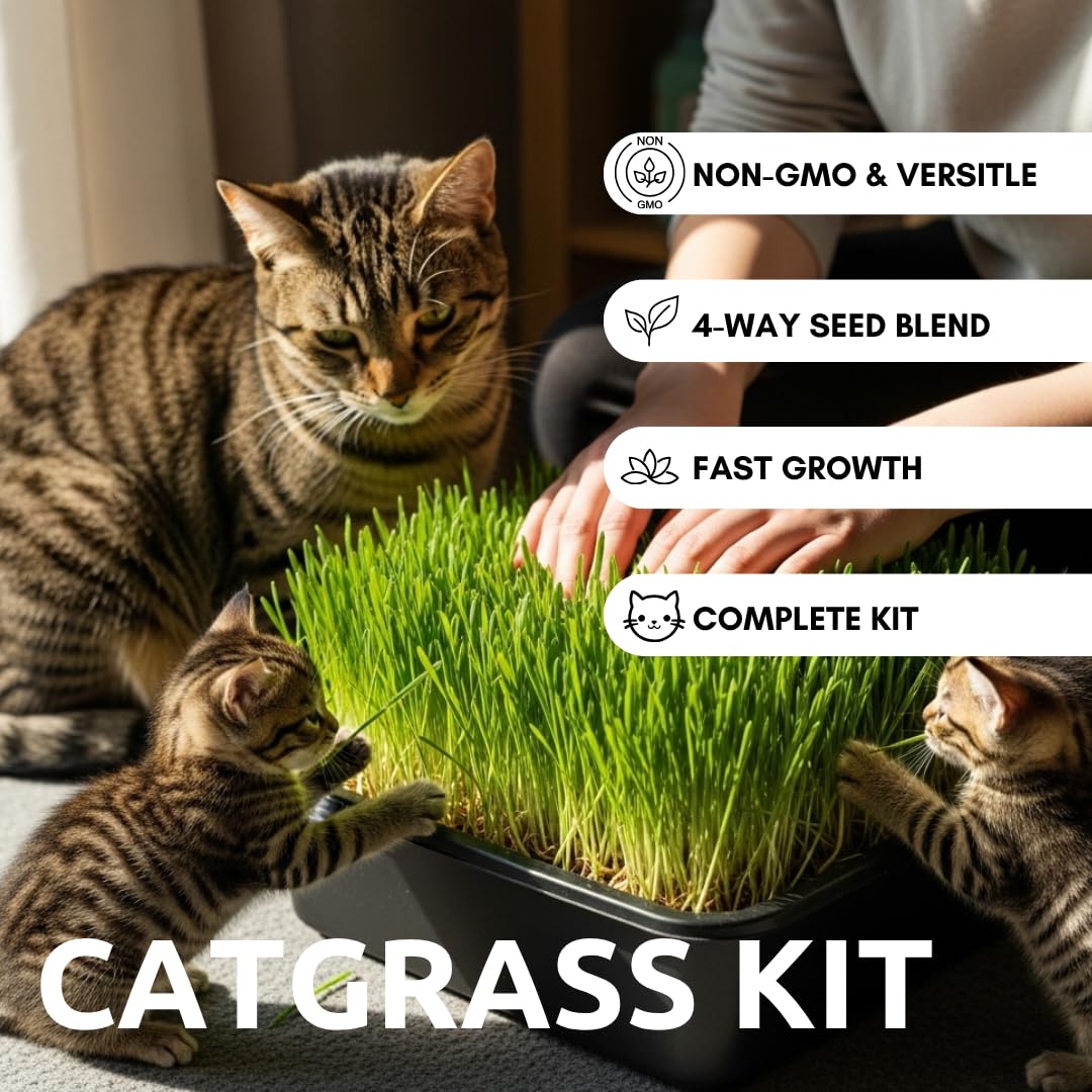 Cat Grass Growing Kit with Organic Seed and Jute Grow Mats P63410