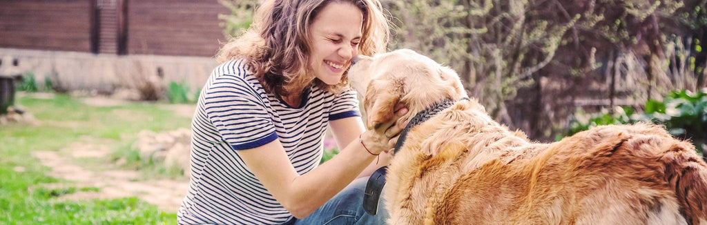 90 Chews Organic Mushroom Enhanced Dog Immune Support Supplement N2575