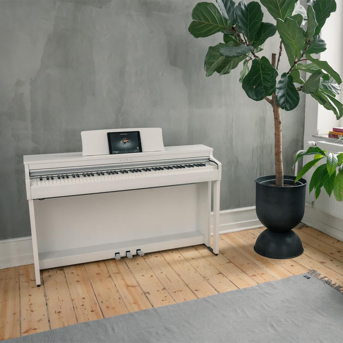 Digital Piano D639244