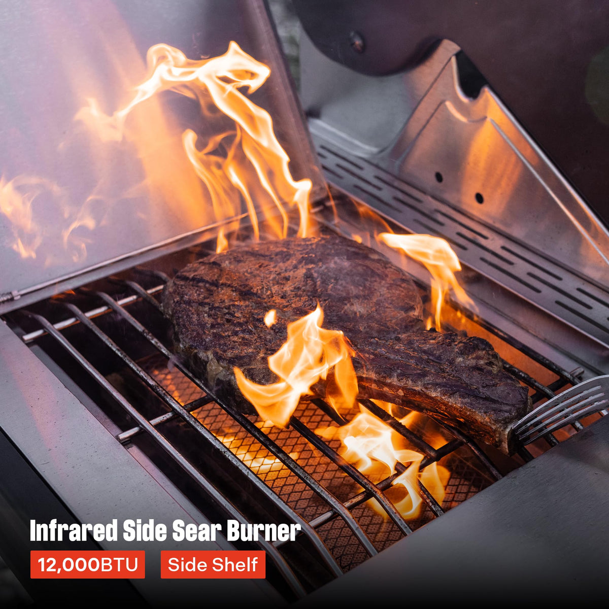 4+2 Burner Propane Gas Grill Stainless Steel P789