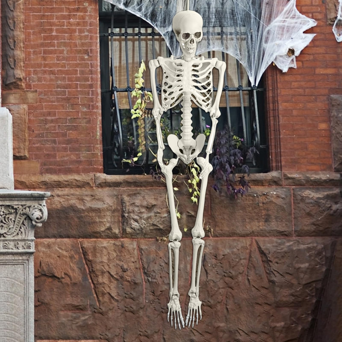 5.4FT 170cm Life Size Posable Skeleton with Movable Joints C600