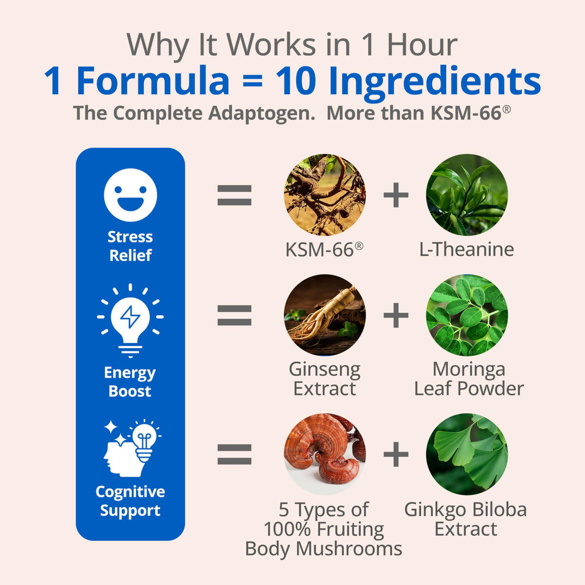 Ashwagandha Supplements A878477